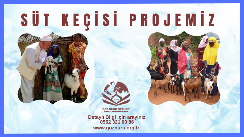 Afrika Süt Keçisi Projesi